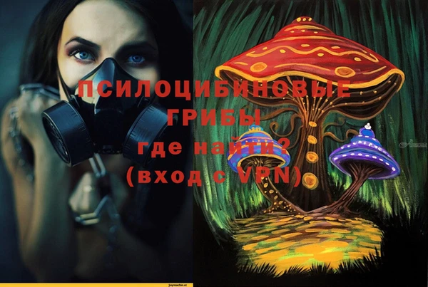 дживик Осинники