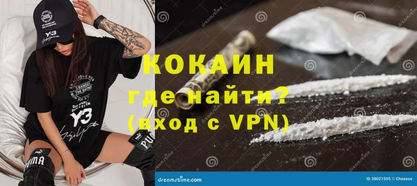 дживик Осинники
