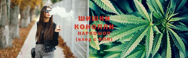 дживик Осинники