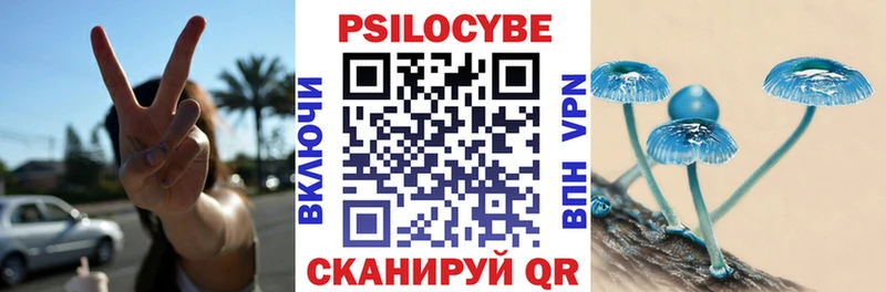 Галлюциногенные грибы прущие грибы  blacksprut ссылка  Сасово 